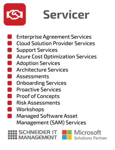 SCHNEIDER IT MANAGEMENT Microsoft Services LU